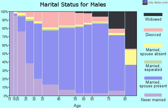 Washoe County marital status for males
