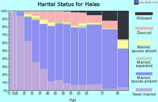 Adams County marital status for males