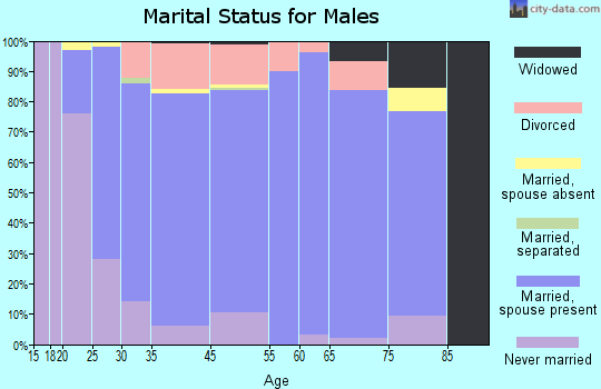 Dolores County marital status for males