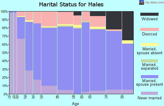 Burke County marital status for males