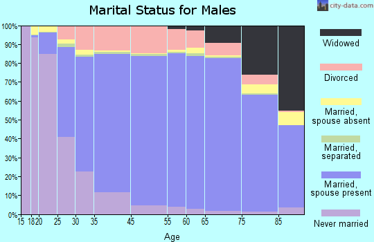 Cerro Gordo County marital status for males
