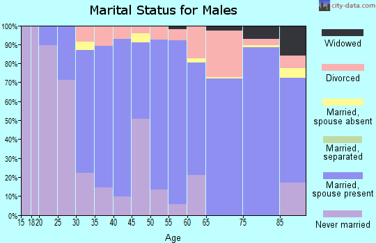 Brule County marital status for males