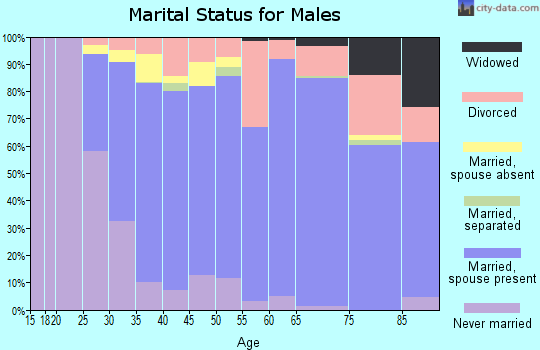 Austin County marital status for males