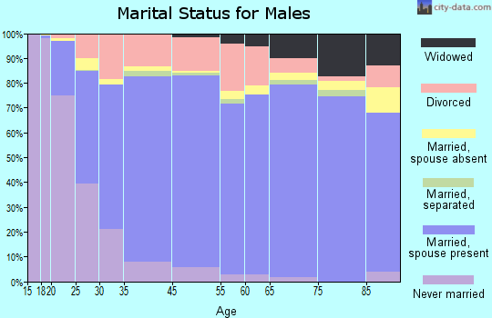 Emery County marital status for males