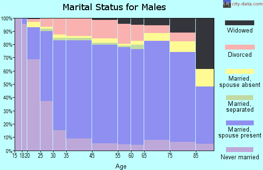 Lamoille County marital status for males