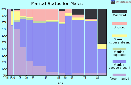 Salem County marital status for males