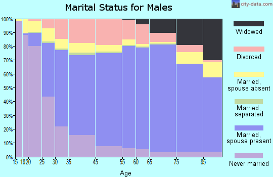 Clearfield County marital status for ...