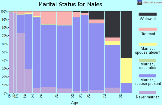 Custer County marital status for males