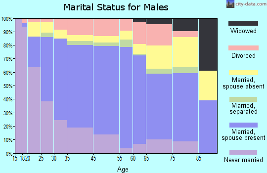 Catron County marital status for males