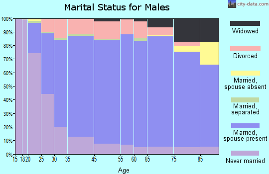 Flagler County marital status for males