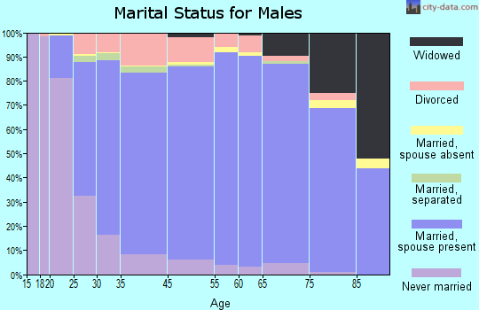 Delaware County marital status for males