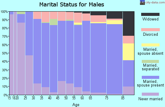 Bremer County marital status for males