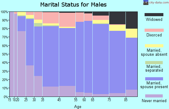 Somerset County marital status for males