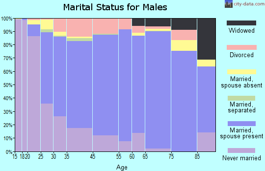 Clinton County marital status for males
