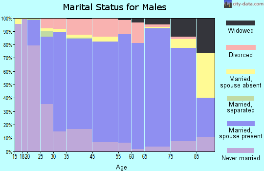 Davison County marital status for males