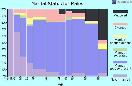 Bosque County marital status for males