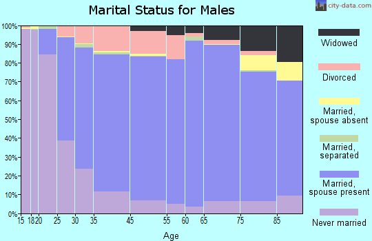 Sublette County marital status for males