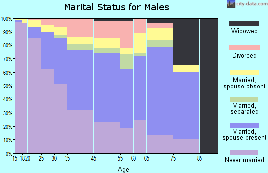 Allen County marital status for males