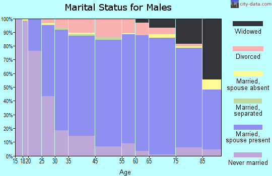 Eagle County marital status for males