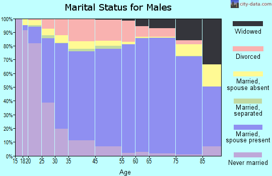 Calhoun County marital status for males