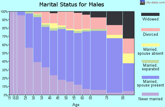 Chenango County marital status for males
