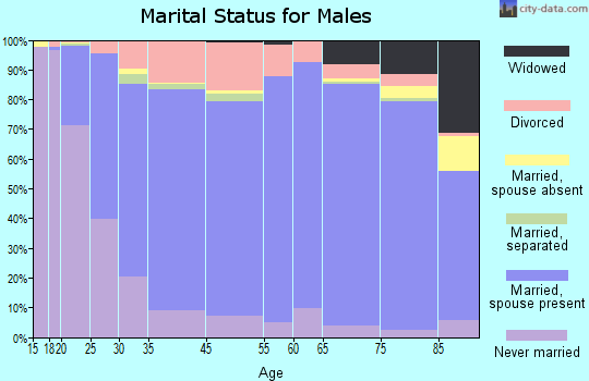 Chickasaw County marital status for males