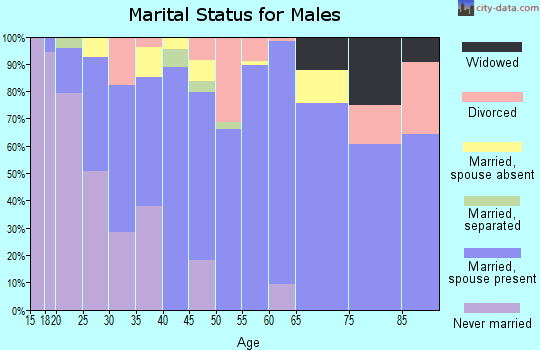 Beaver County marital status for males