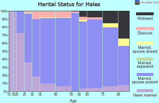 Dakota County marital status for males