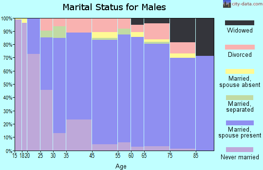 Chatham County marital status for males
