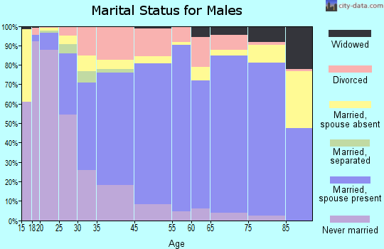 Bailey County marital status for males
