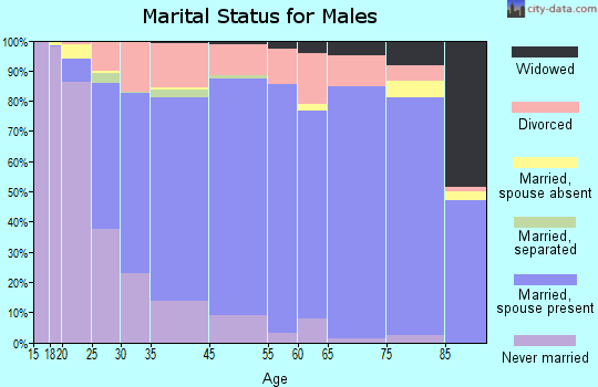 Bath County marital status for males