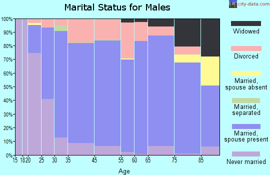 Elbert County marital status for males