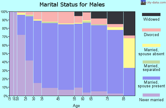De Witt County marital status for males