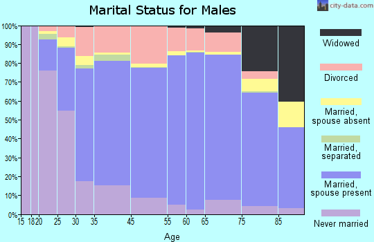 Clarke County marital status for males