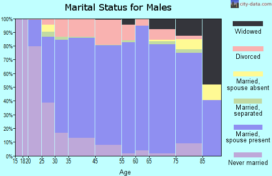 Somerset County marital status for males