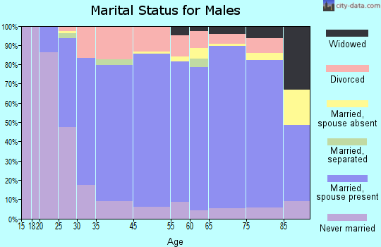 Rio Arriba County marital status for males