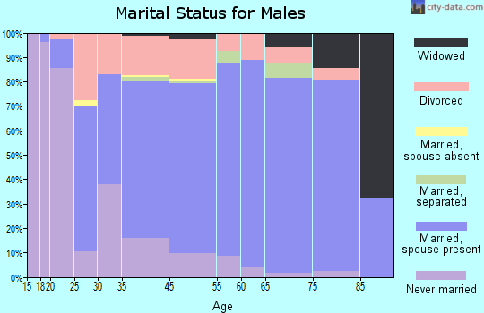 Cherokee County marital status for males
