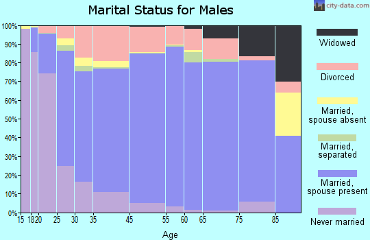 Appling County marital status for males