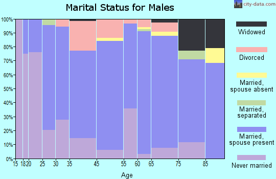 Decatur County marital status for males