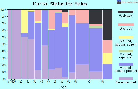 Nantucket County marital status for males