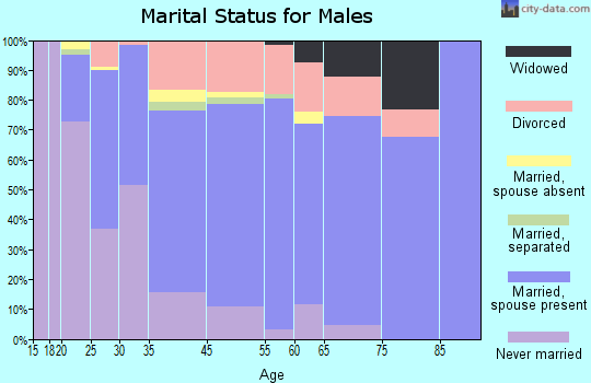 Andrews County marital status for males