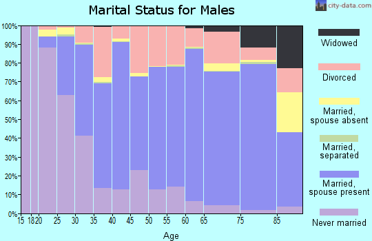 Benzie County marital status for males