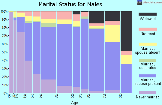 Gilchrist County marital status for males