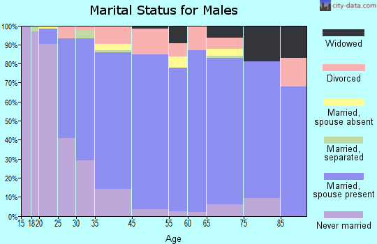 Clay County marital status for males