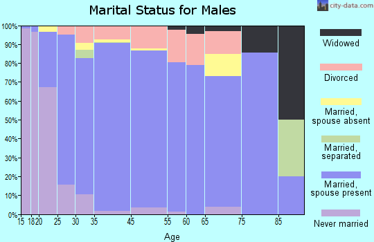 Chariton County marital status for males