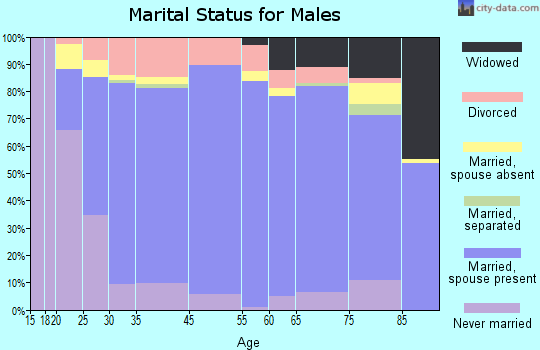 Custer County marital status for males