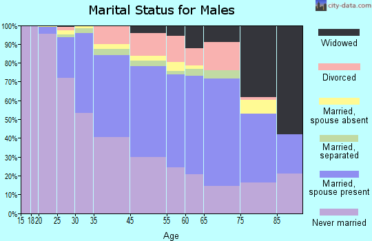 Bennington County marital status for males