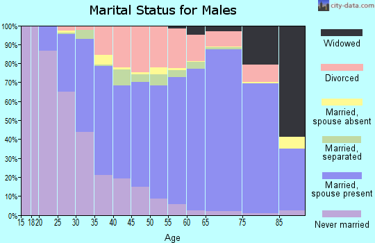 Brunswick County marital status for males