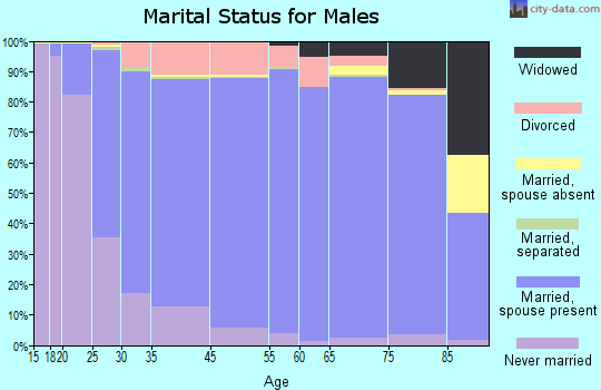 Sevier County marital status for males