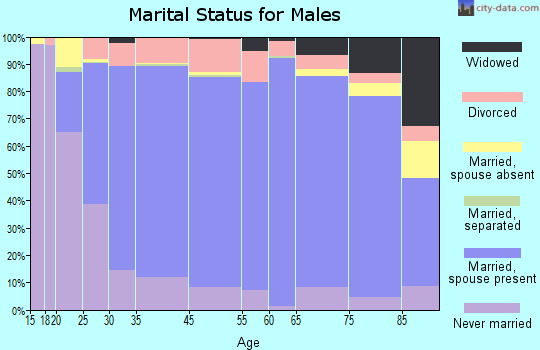 Lewis County marital status for males